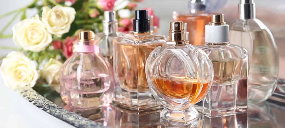 TagoMago en Perfumeria vernieuwden hun sites met 82% en 108% bovengemiddeld zoekgebruik